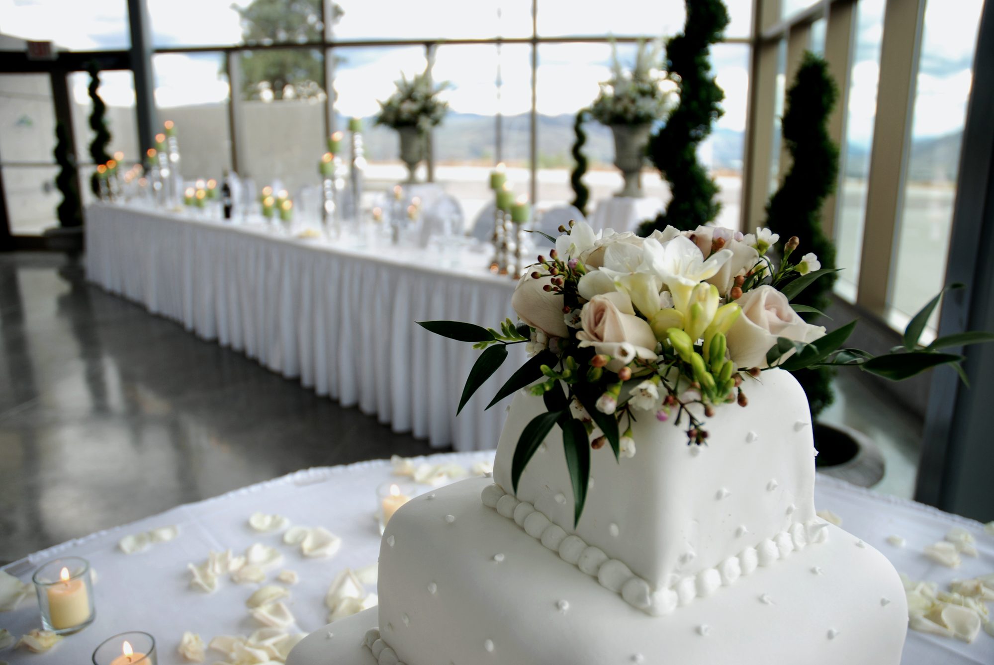 Wedding cake and reception venue